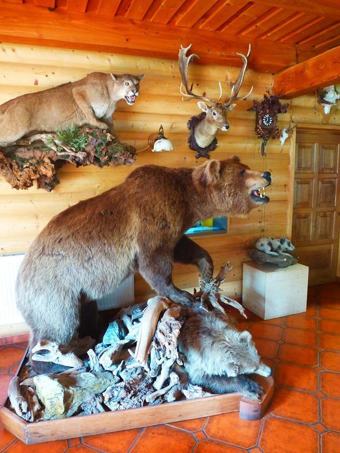 Pension Grizzly Лудвиков Экстерьер фото